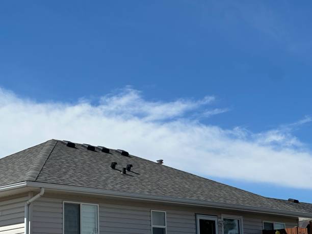 Best Gutter Installation and Repair  in Wheaton, IL